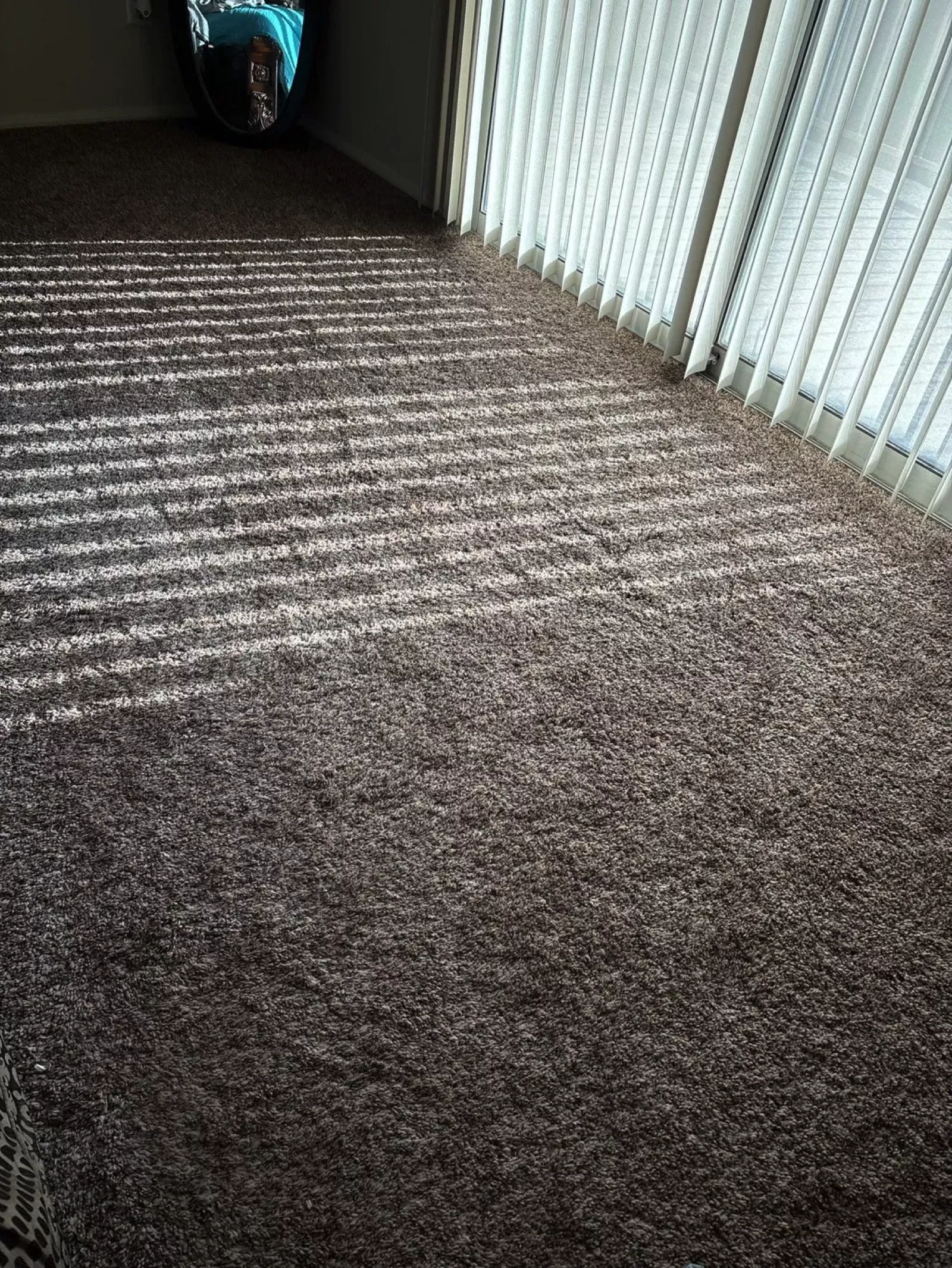 Carpet Cleaning in Manhattan, NYC